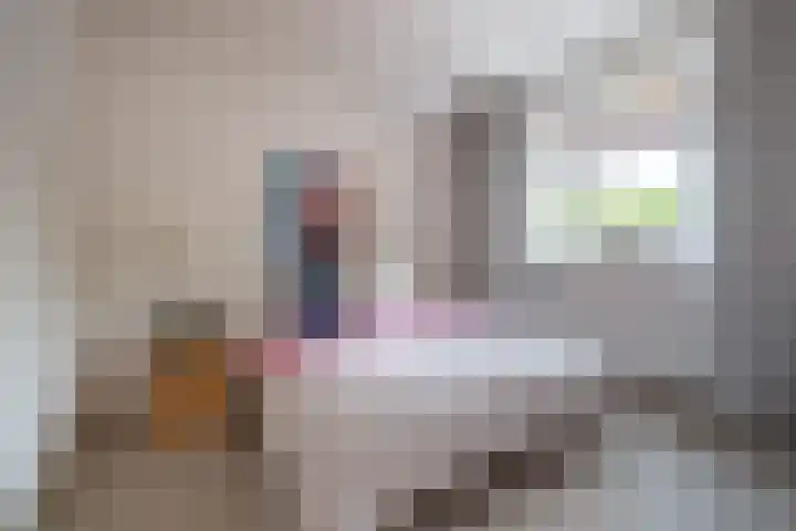 Woenselsestraat 345 Eindhoven thumbnail 47