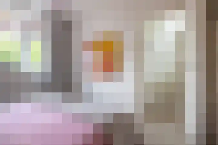 Woenselsestraat 345 Eindhoven thumbnail 49
