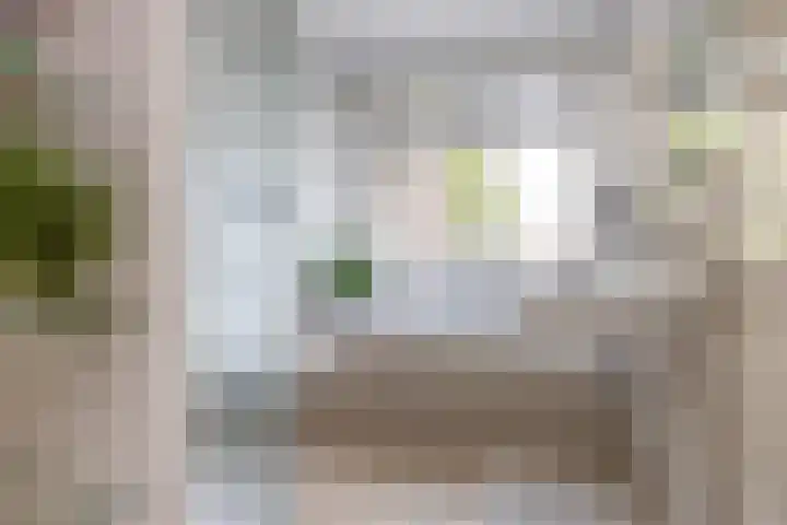 Woenselsestraat 345 Eindhoven thumbnail 52