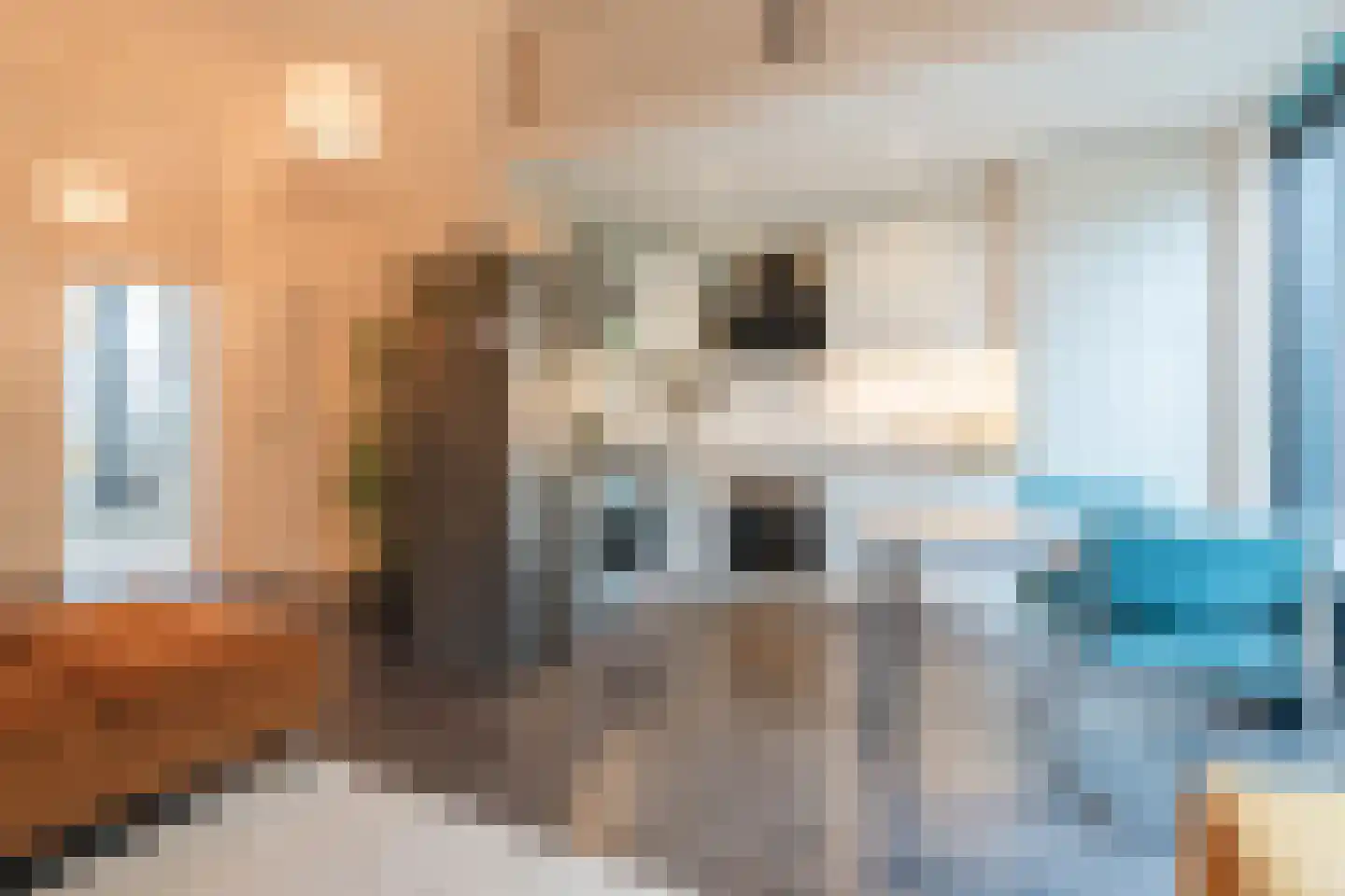 Woenselsestraat 348 Eindhoven thumbnail 10