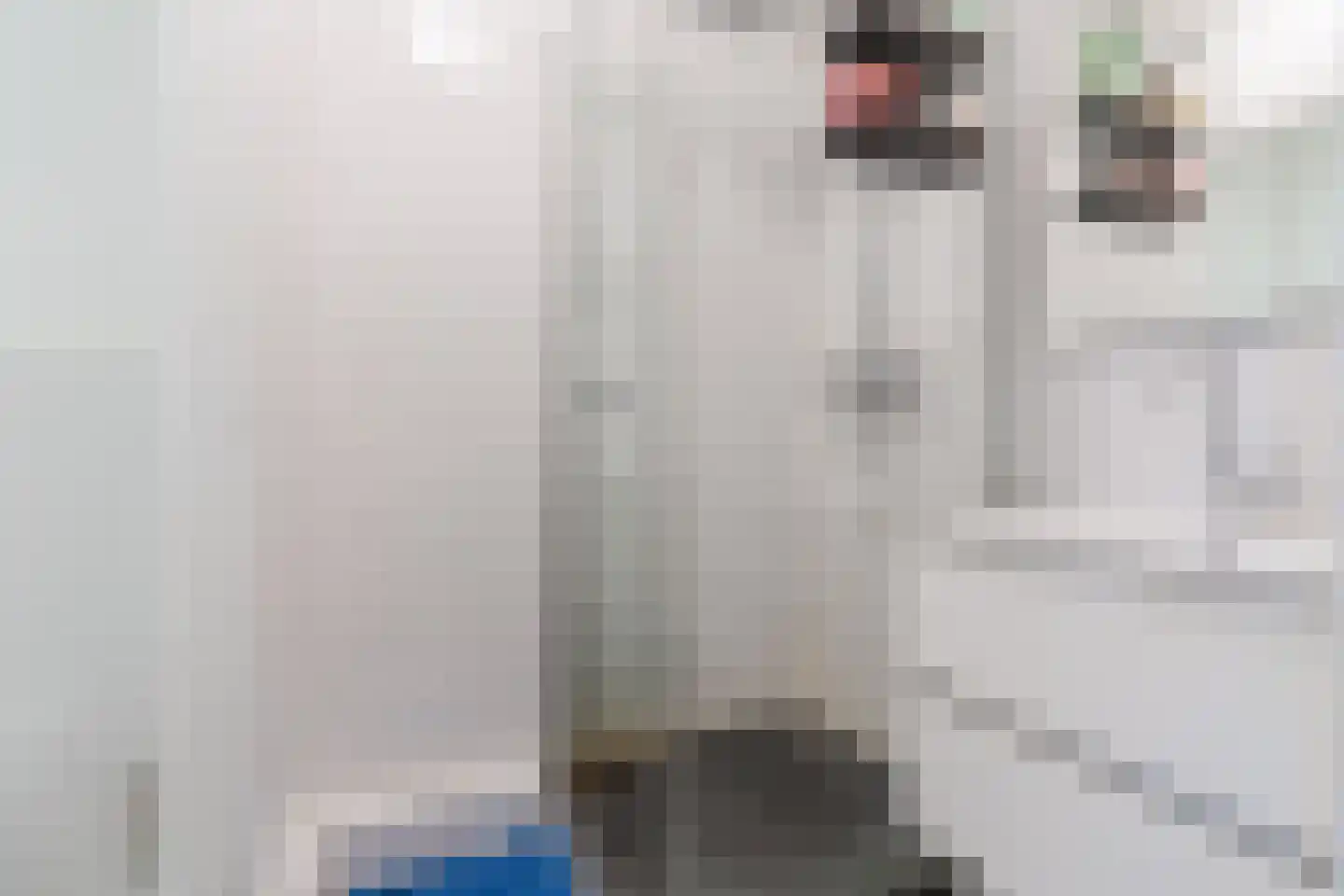 Woenselsestraat 348 Eindhoven thumbnail 14