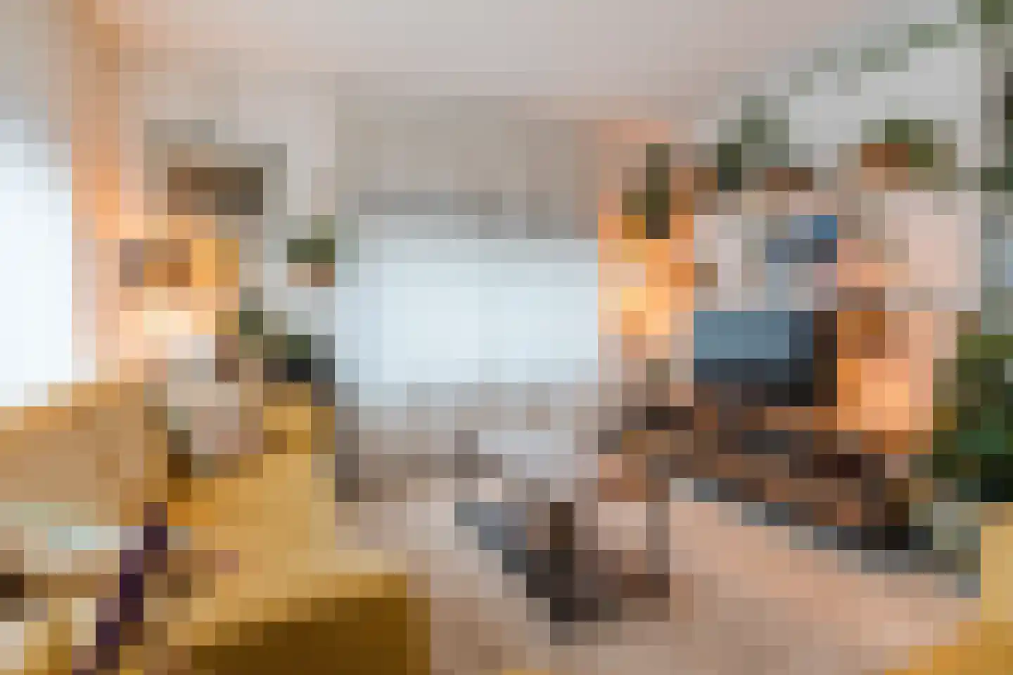 Woenselsestraat 348 Eindhoven thumbnail 20