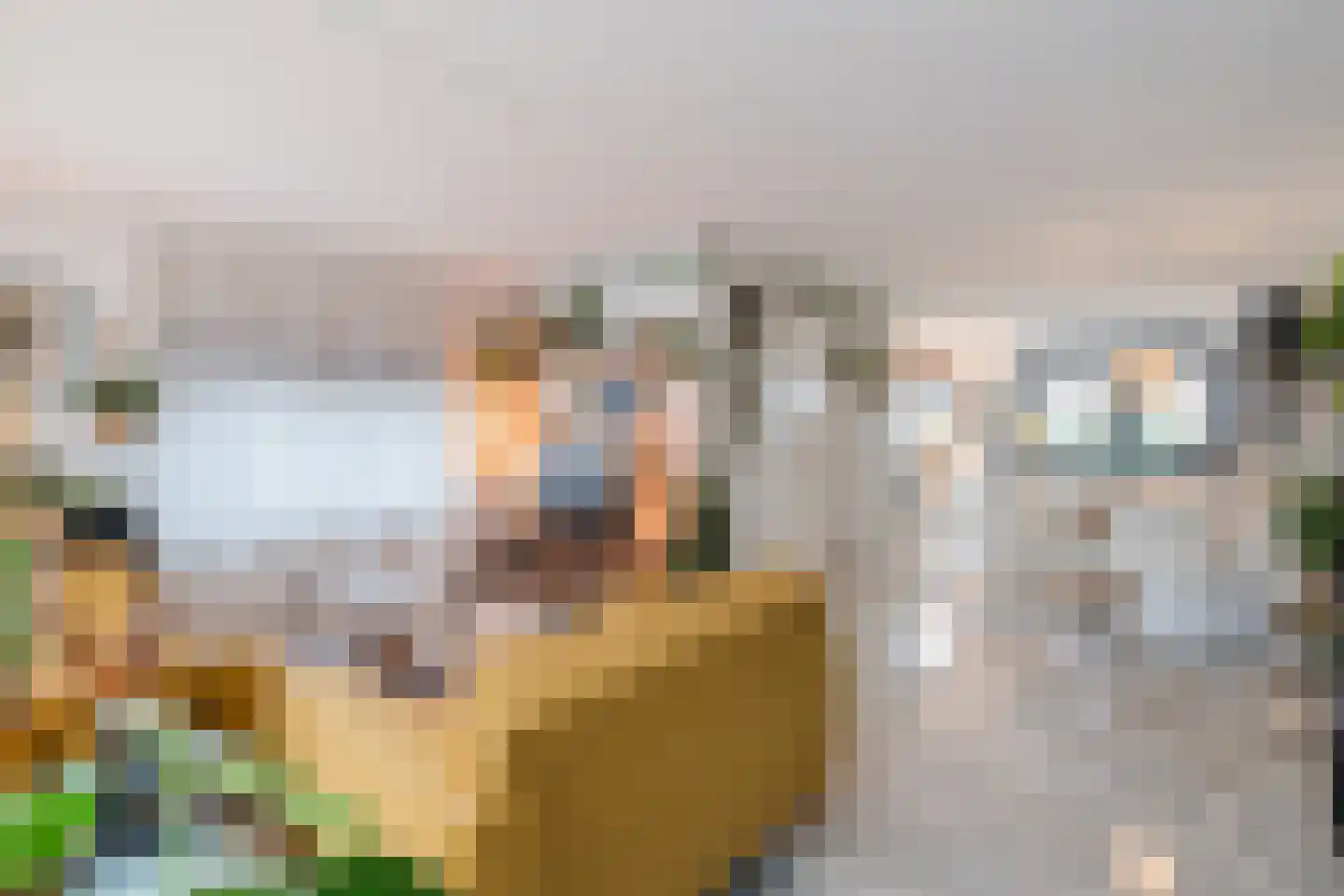 Woenselsestraat 348 Eindhoven thumbnail 21