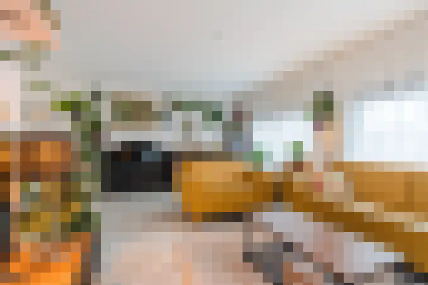 Woenselsestraat 348 Eindhoven thumbnail 22