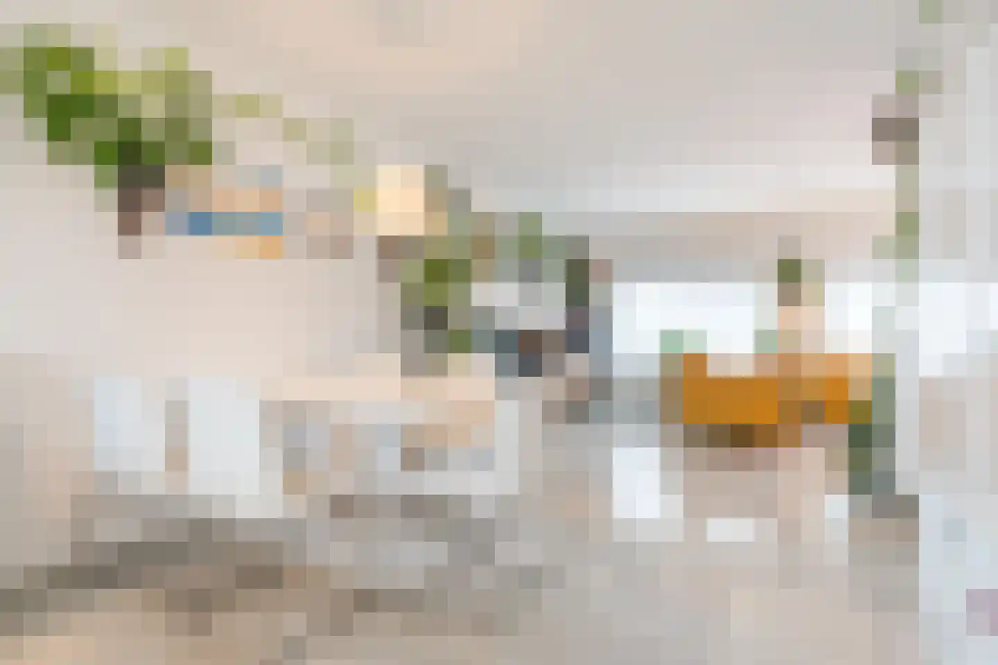 Woenselsestraat 348 Eindhoven thumbnail 25