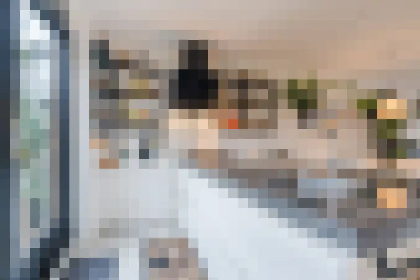 Woenselsestraat 348 Eindhoven thumbnail 27