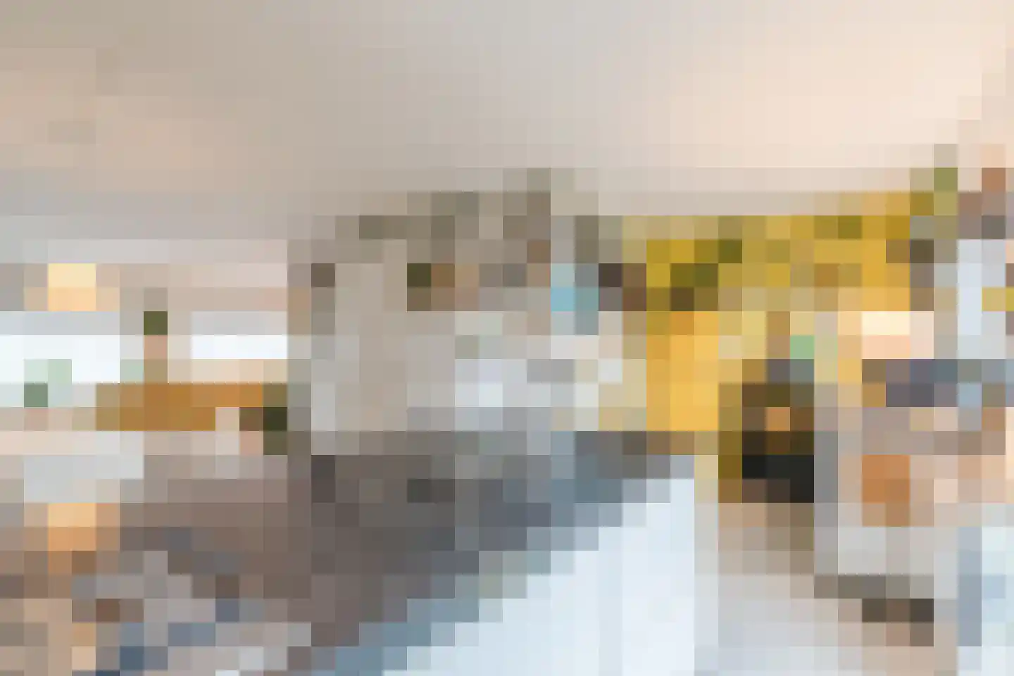 Woenselsestraat 348 Eindhoven thumbnail 28