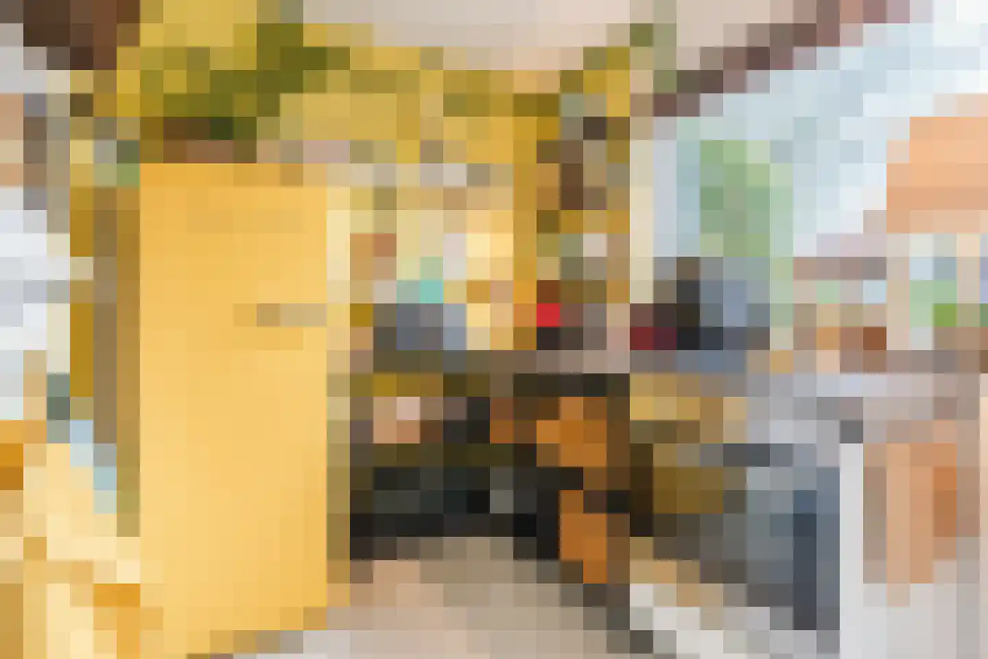 Woenselsestraat 348 Eindhoven thumbnail 29