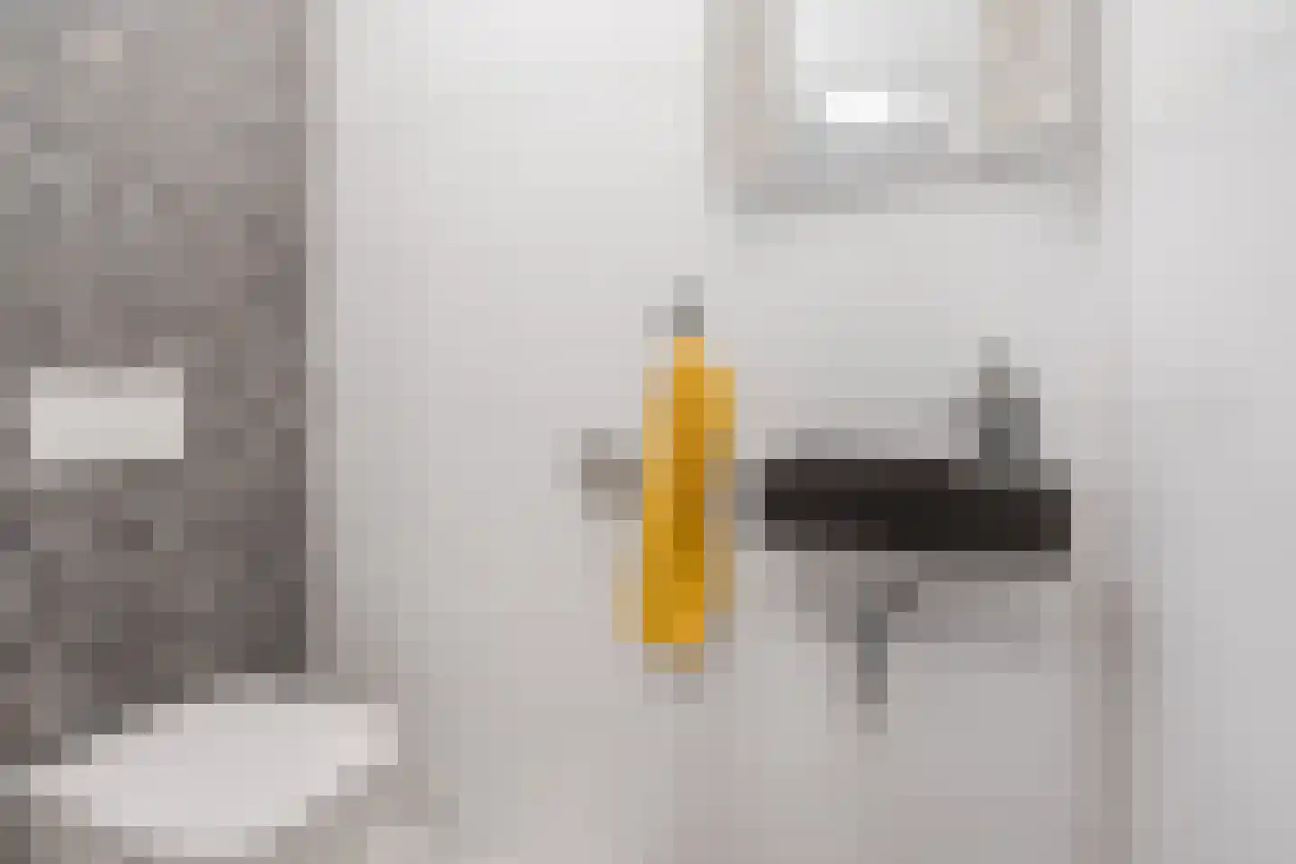 Woenselsestraat 348 Eindhoven thumbnail 32