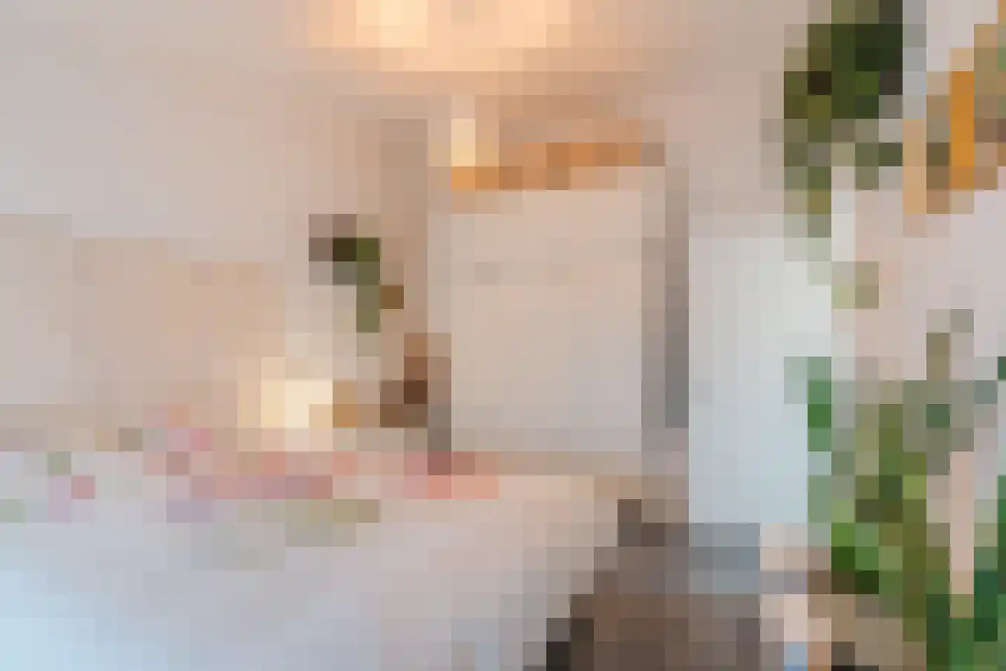 Woenselsestraat 348 Eindhoven thumbnail 36