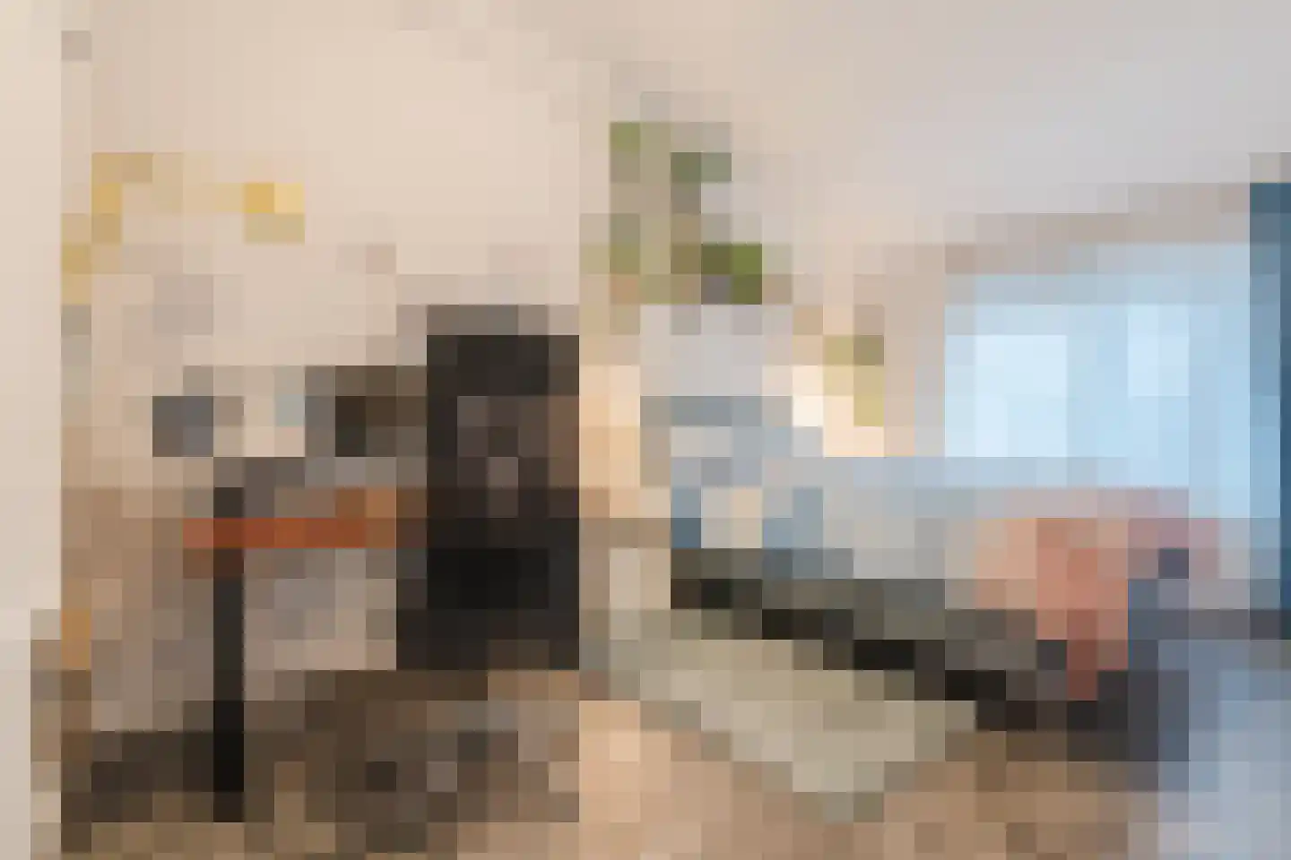 Woenselsestraat 348 Eindhoven thumbnail 37