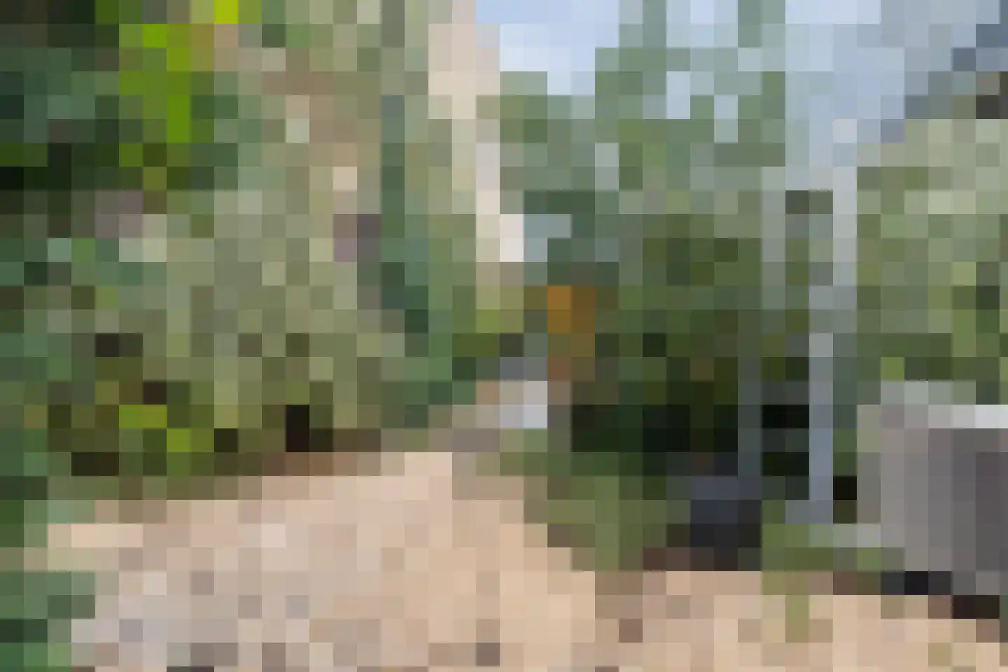 Woenselsestraat 348 Eindhoven thumbnail 43