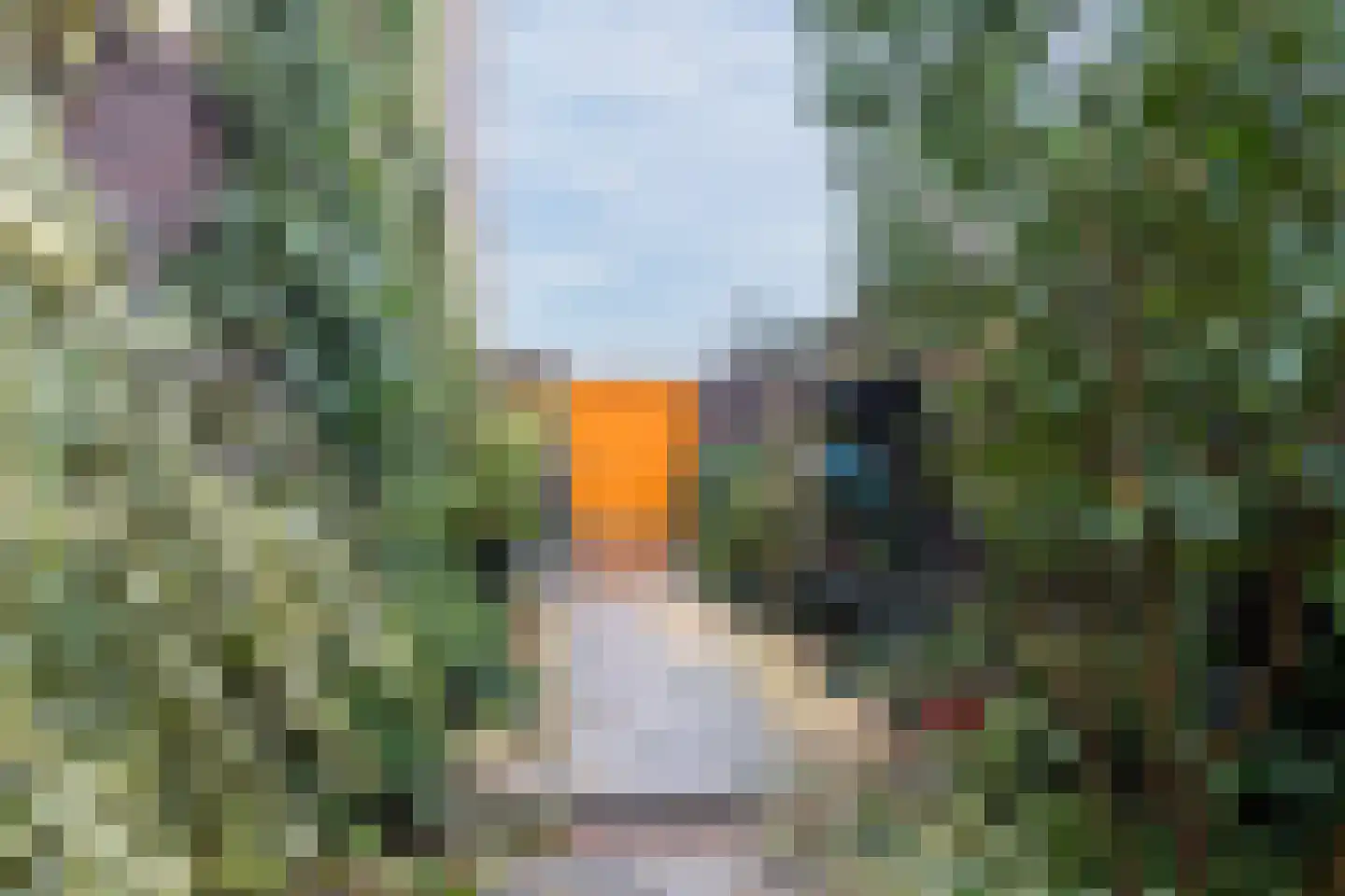 Woenselsestraat 348 Eindhoven thumbnail 44