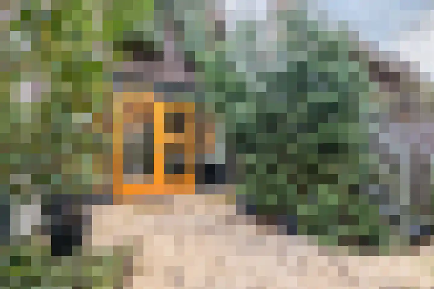 Woenselsestraat 348 Eindhoven thumbnail 46