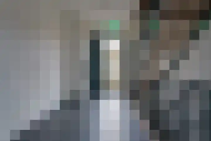 Woenselsestraat 369 Eindhoven thumbnail 11