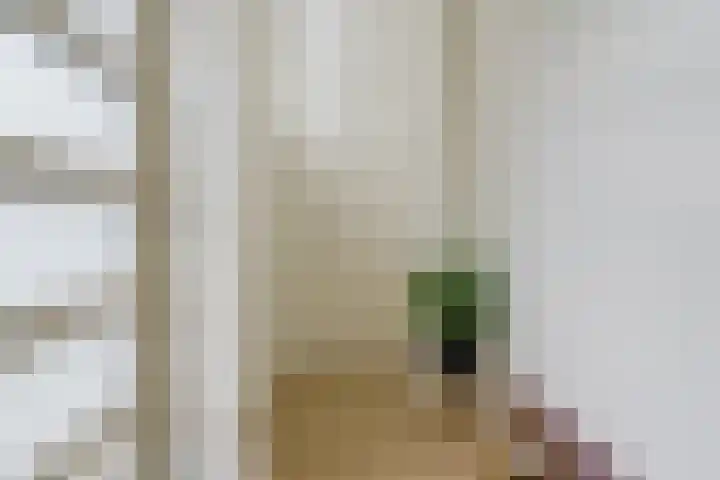 Woenselsestraat 369 Eindhoven thumbnail 13