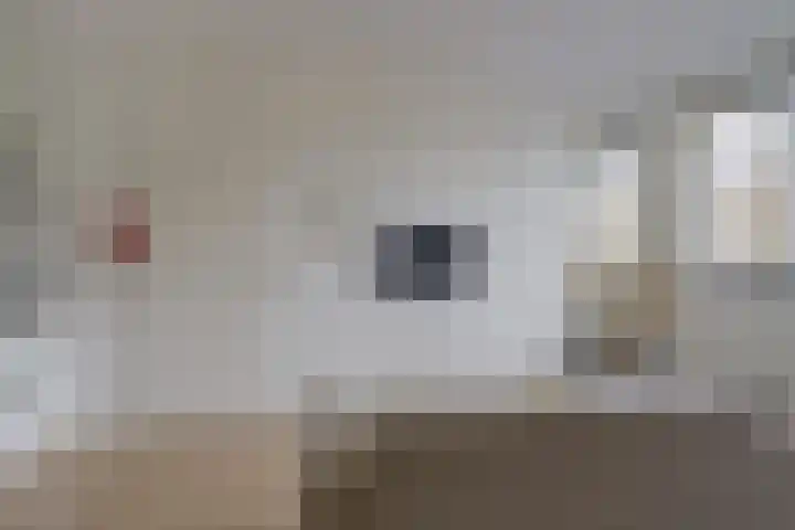 Woenselsestraat 369 Eindhoven thumbnail 24