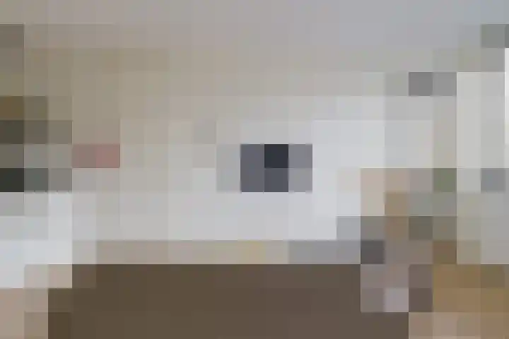 Woenselsestraat 369 Eindhoven thumbnail 25
