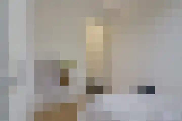 Woenselsestraat 369 Eindhoven thumbnail 27