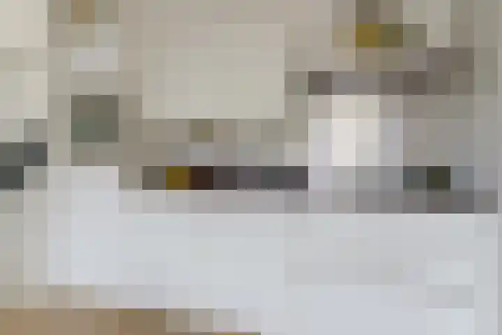 Woenselsestraat 369 Eindhoven thumbnail 6