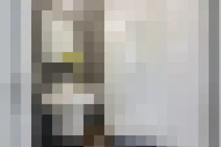 Woenselsestraat 369 Eindhoven thumbnail 8