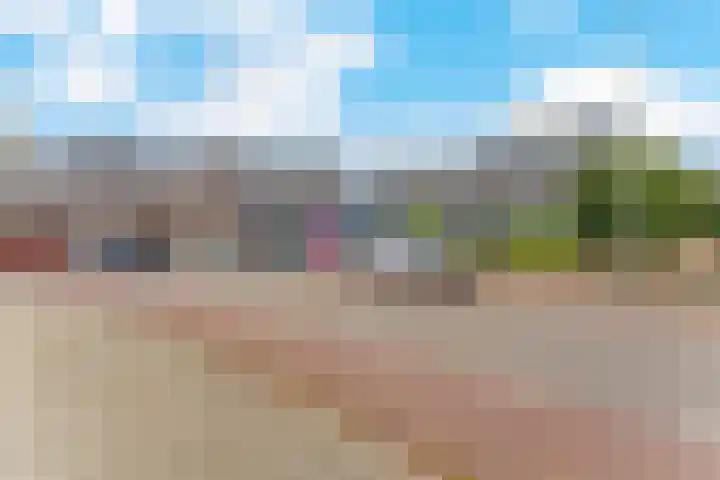Woenselsestraat 369 Eindhoven thumbnail 9