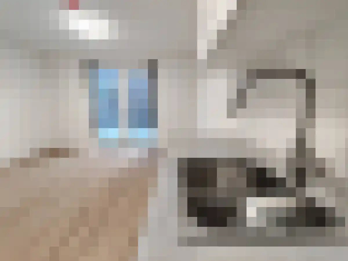 Woenselsestraat Eindhoven thumbnail 4