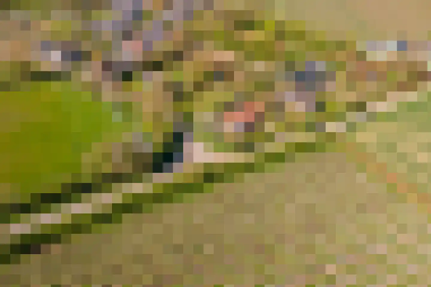 Woerd 2 Kerk-Avezaath thumbnail 100