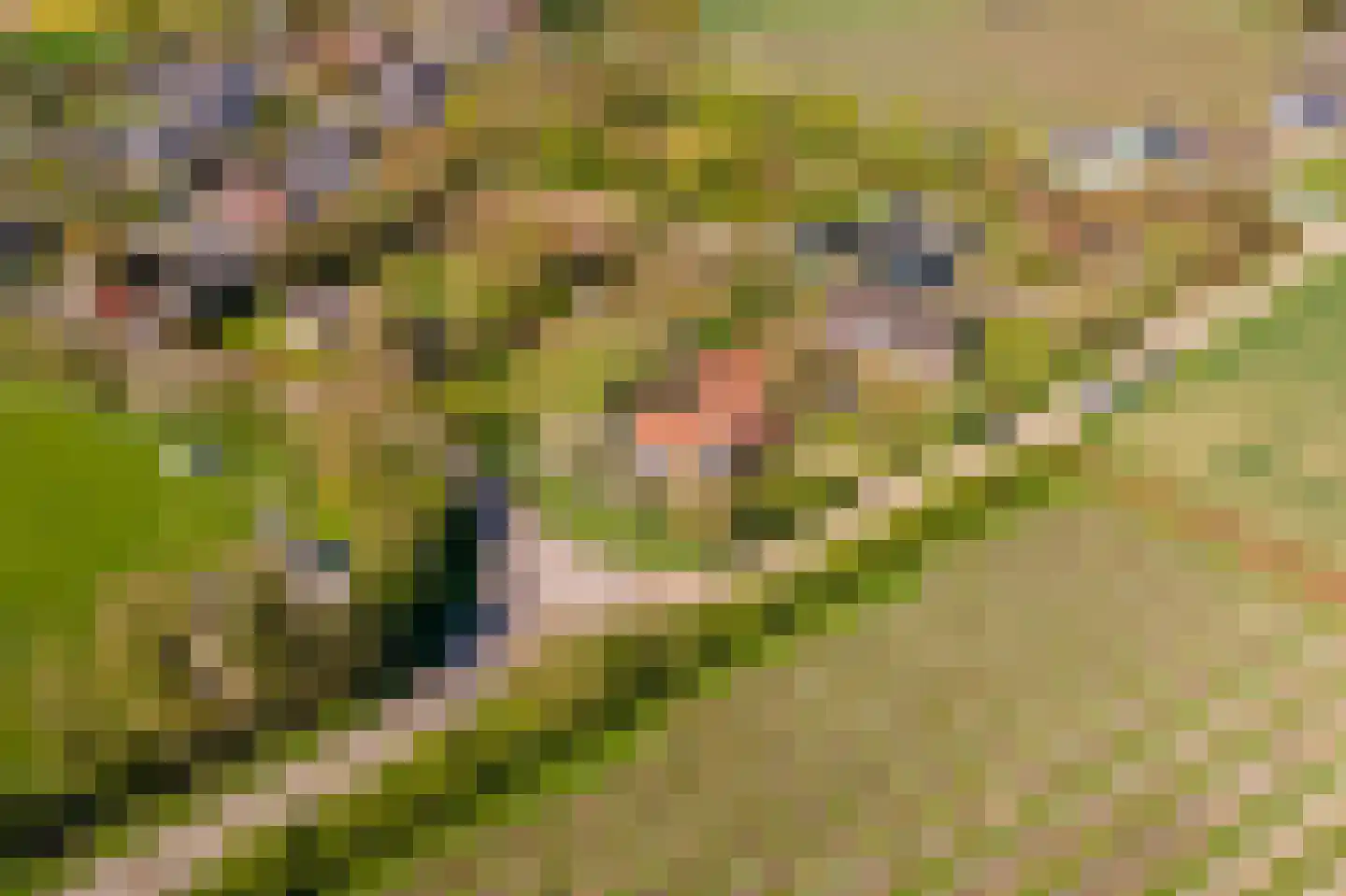 Woerd 2 Kerk-Avezaath thumbnail 101