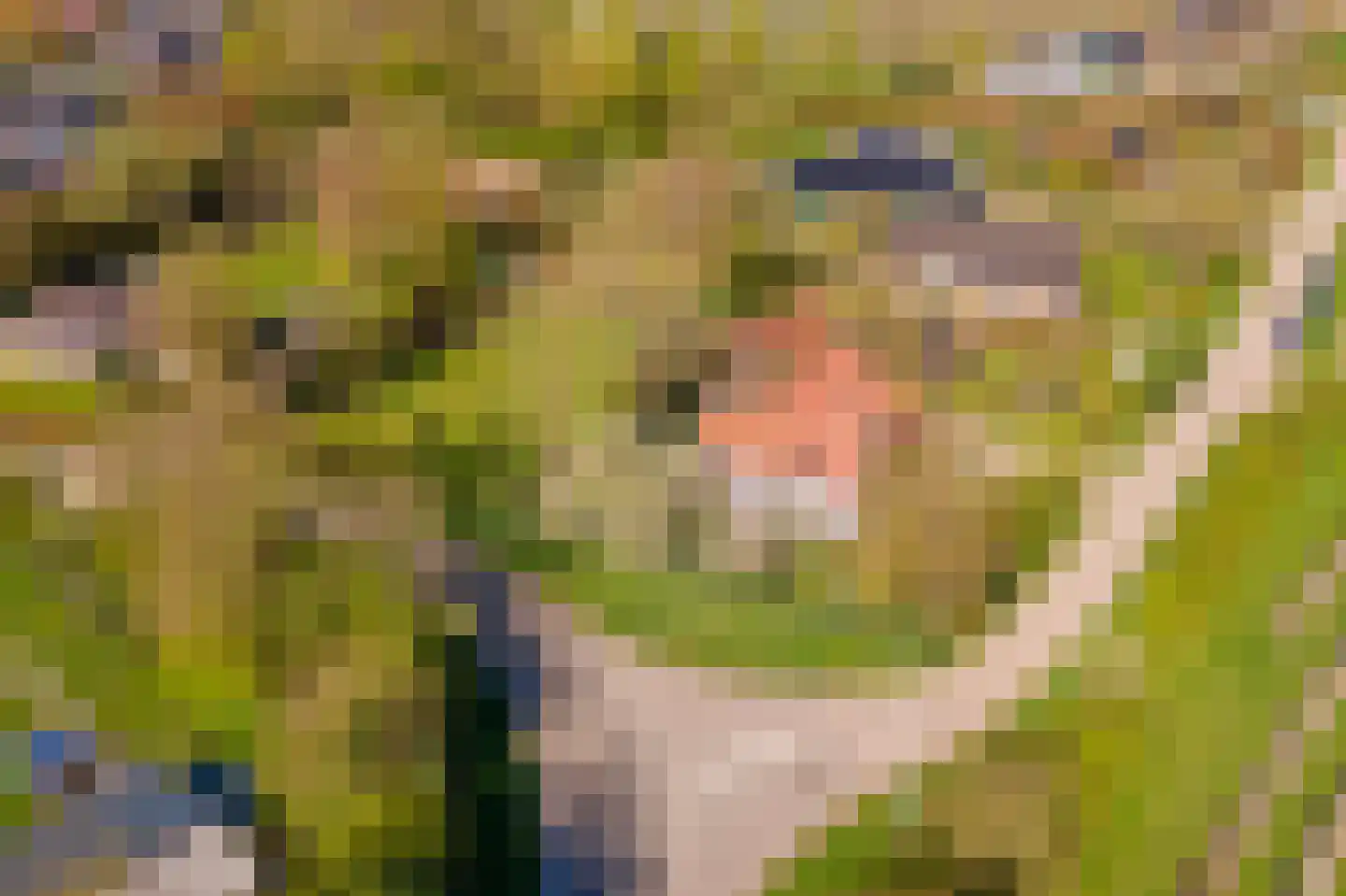 Woerd 2 Kerk-Avezaath thumbnail 102