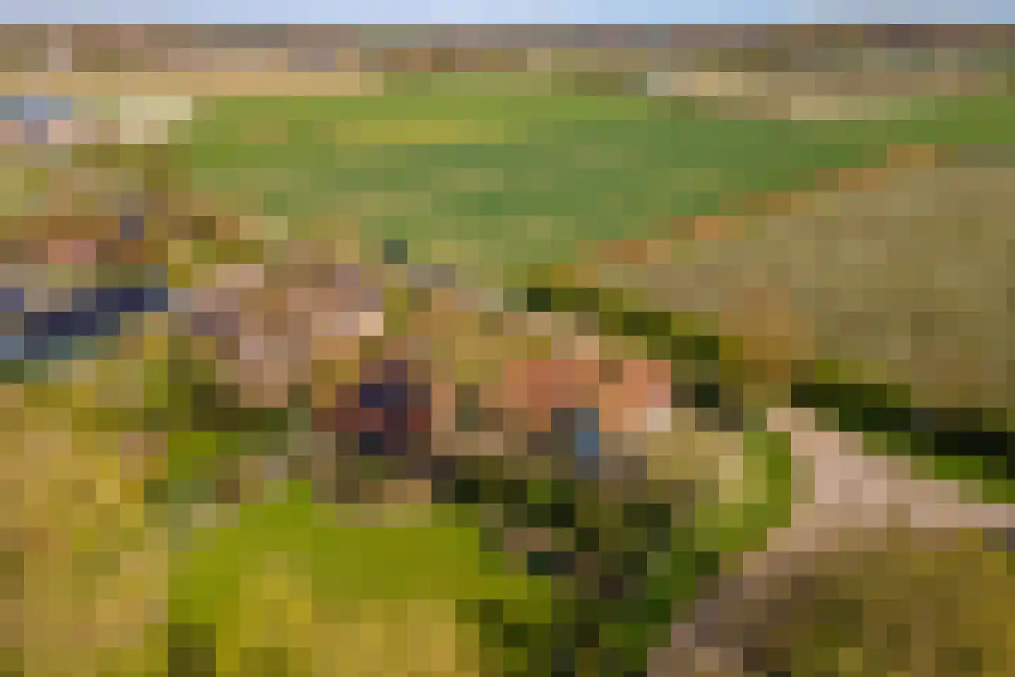 Woerd 2 Kerk-Avezaath thumbnail 103