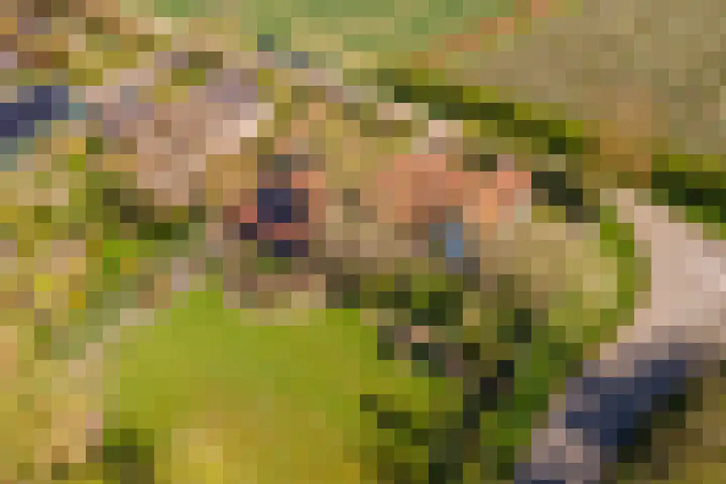 Woerd 2 Kerk-Avezaath thumbnail 104