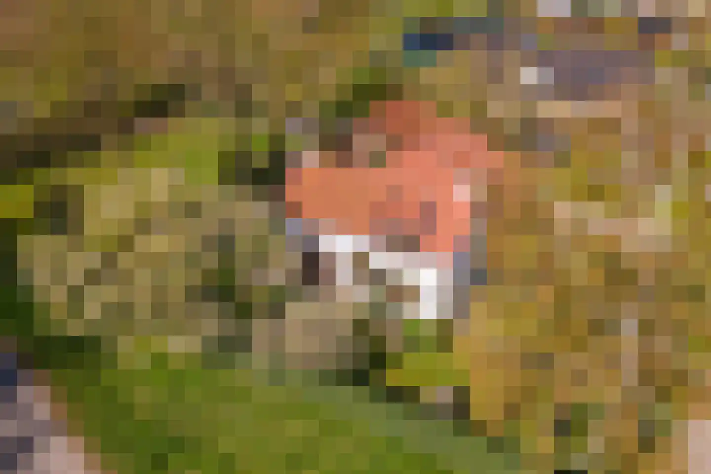 Woerd 2 Kerk-Avezaath thumbnail 107