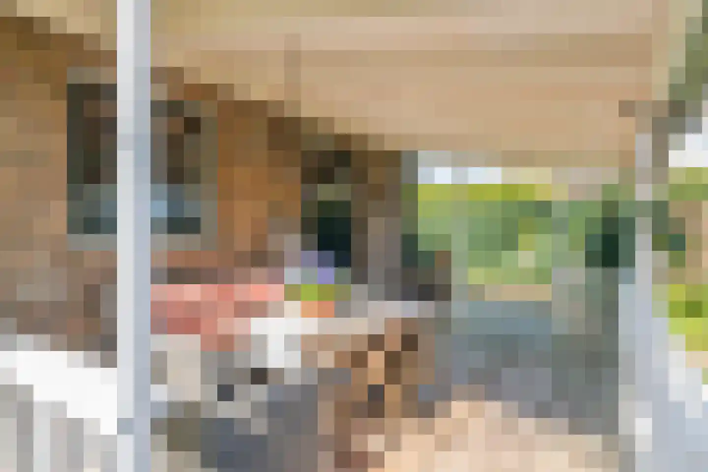 Woerd 2 Kerk-Avezaath thumbnail 14