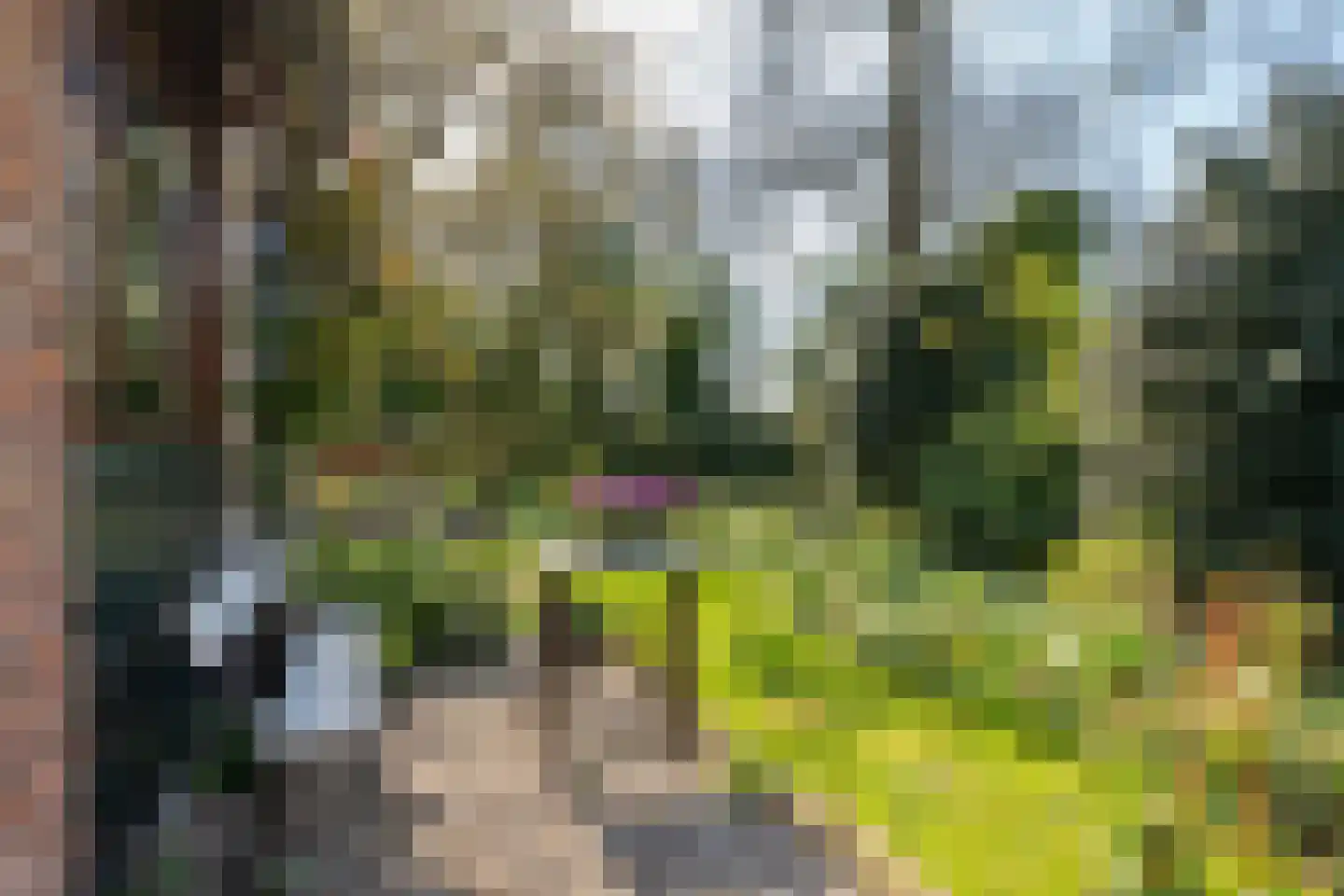 Woerd 2 Kerk-Avezaath thumbnail 29