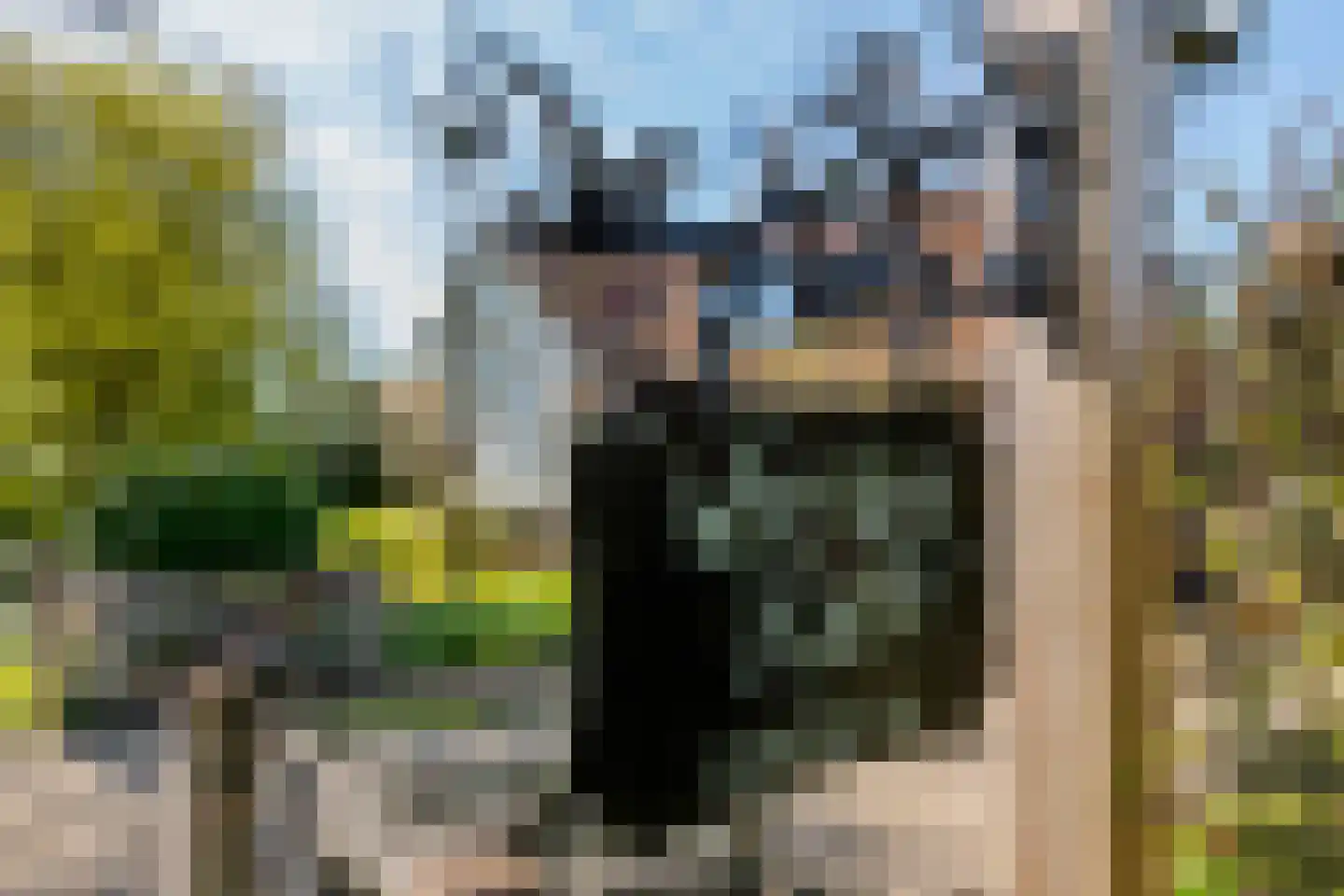 Woerd 2 Kerk-Avezaath thumbnail 5