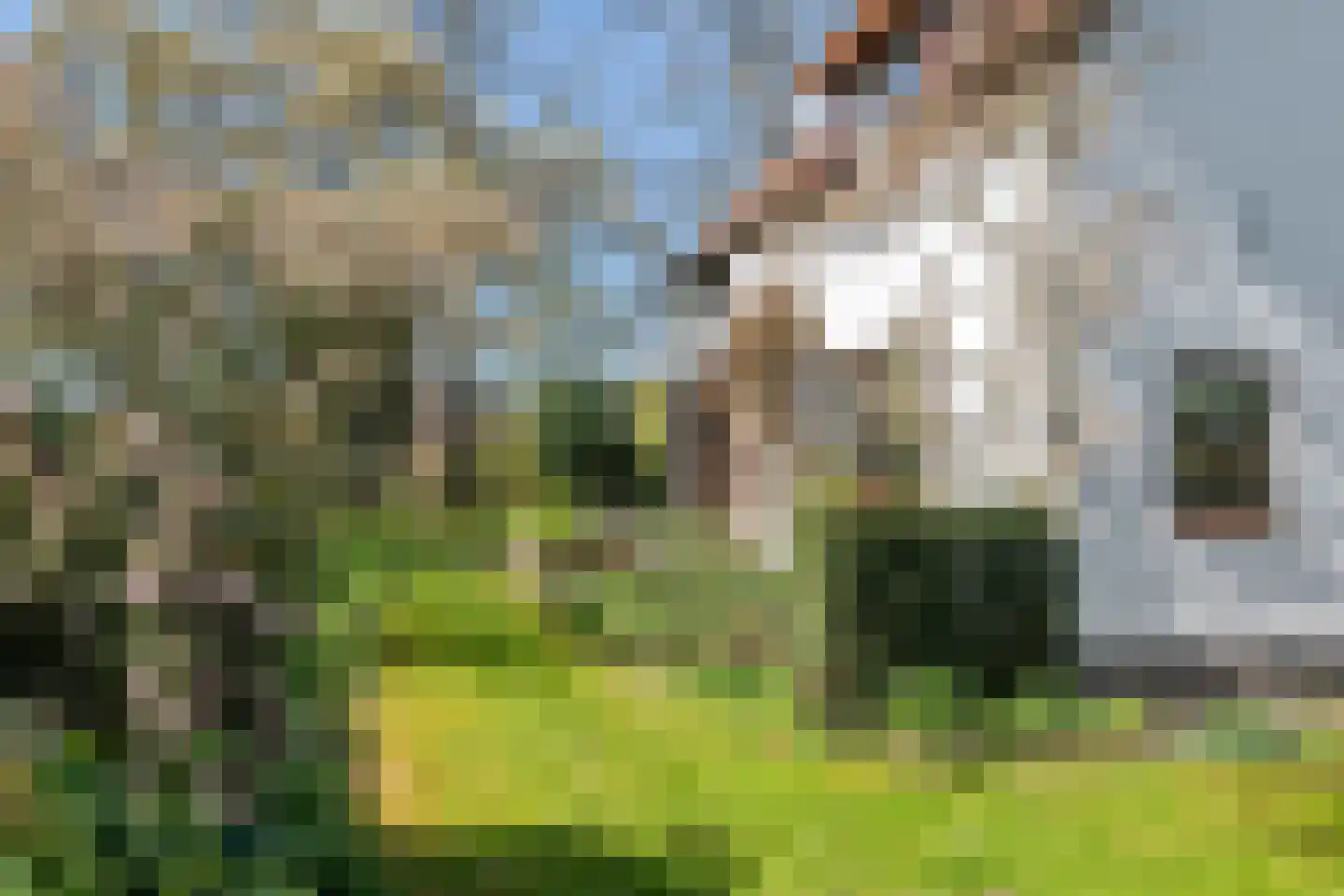 Woerd 2 Kerk-Avezaath thumbnail 6