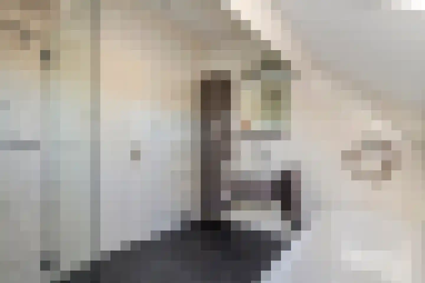 Woerd 2 Kerk-Avezaath thumbnail 78