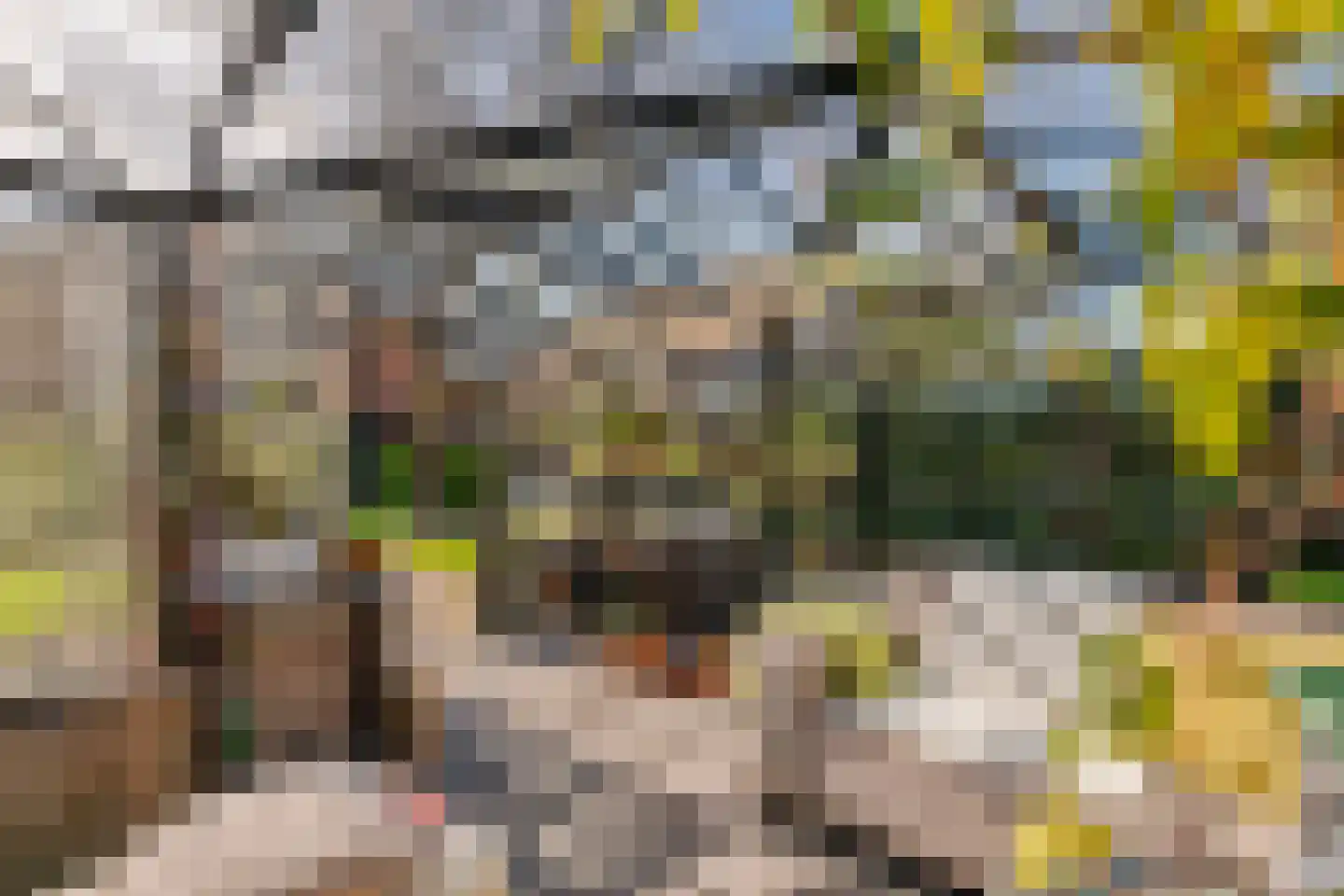 Woerd 2 Kerk-Avezaath thumbnail 95