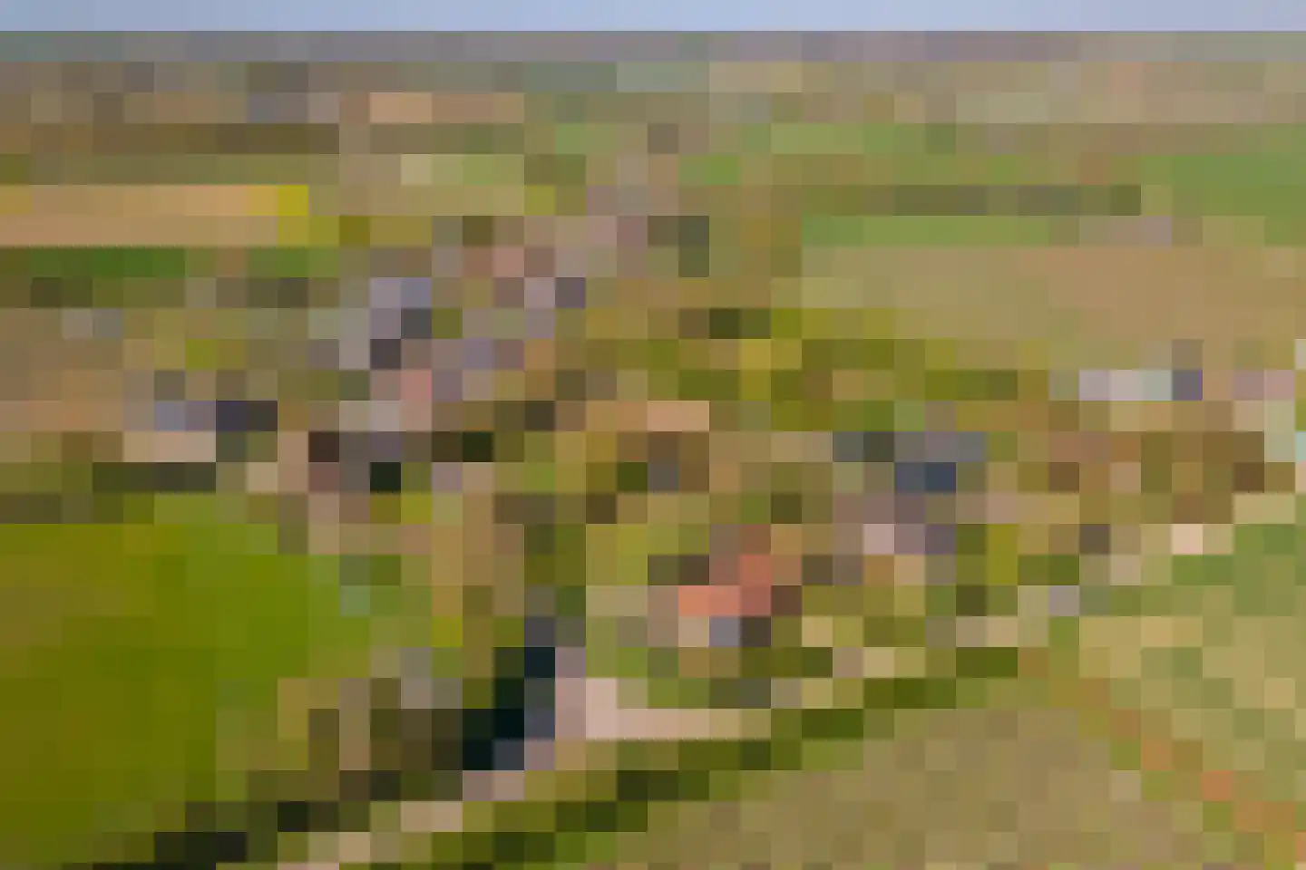 Woerd 2 Kerk-Avezaath thumbnail 99
