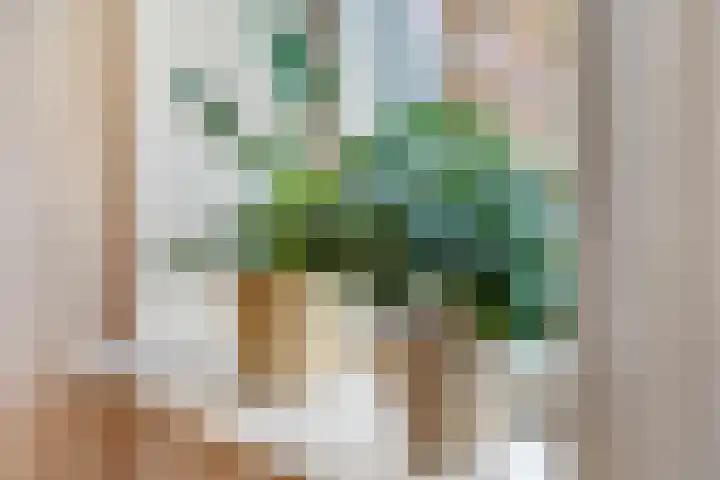 Woerd 27 Kerk-Avezaath thumbnail 11