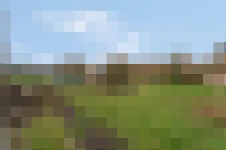 Woerd 27 Kerk-Avezaath thumbnail 27