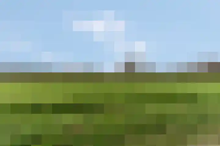 Woerd 27 Kerk-Avezaath thumbnail 30