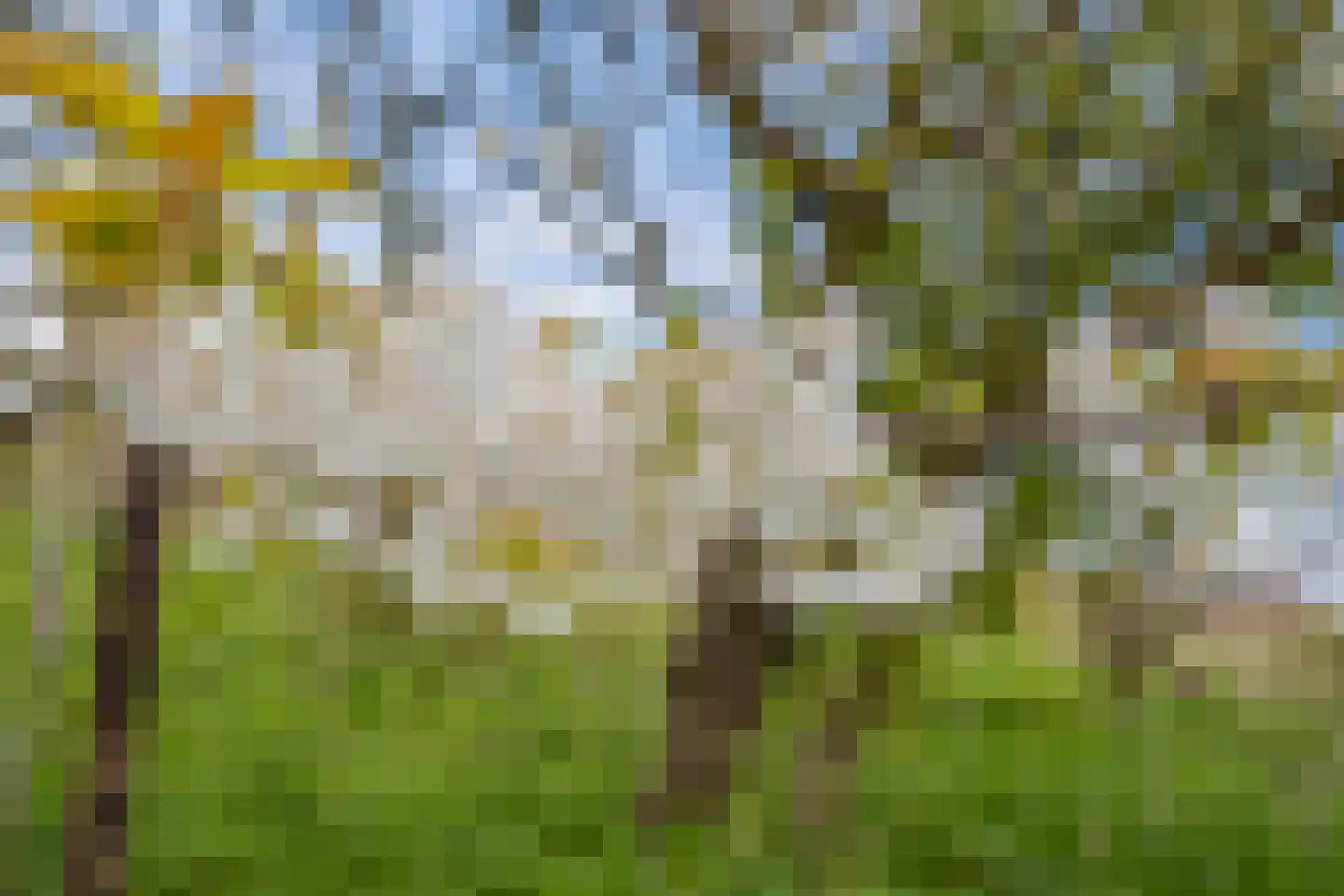 Woerd 43 Kerk-Avezaath thumbnail 26