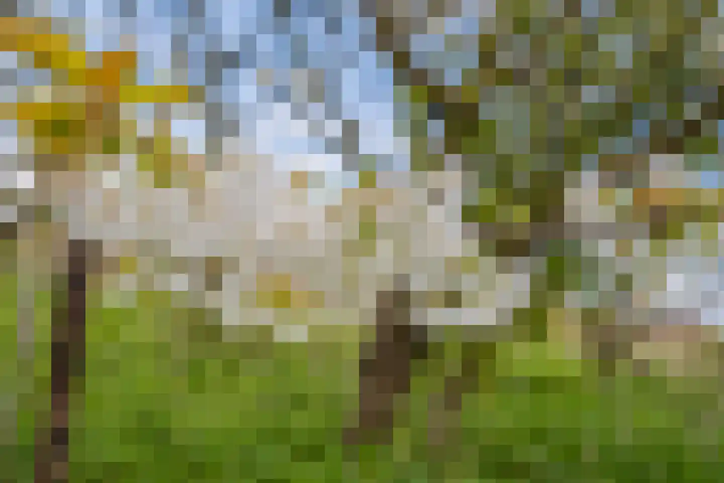 Woerd 43 Kerk-Avezaath thumbnail 26