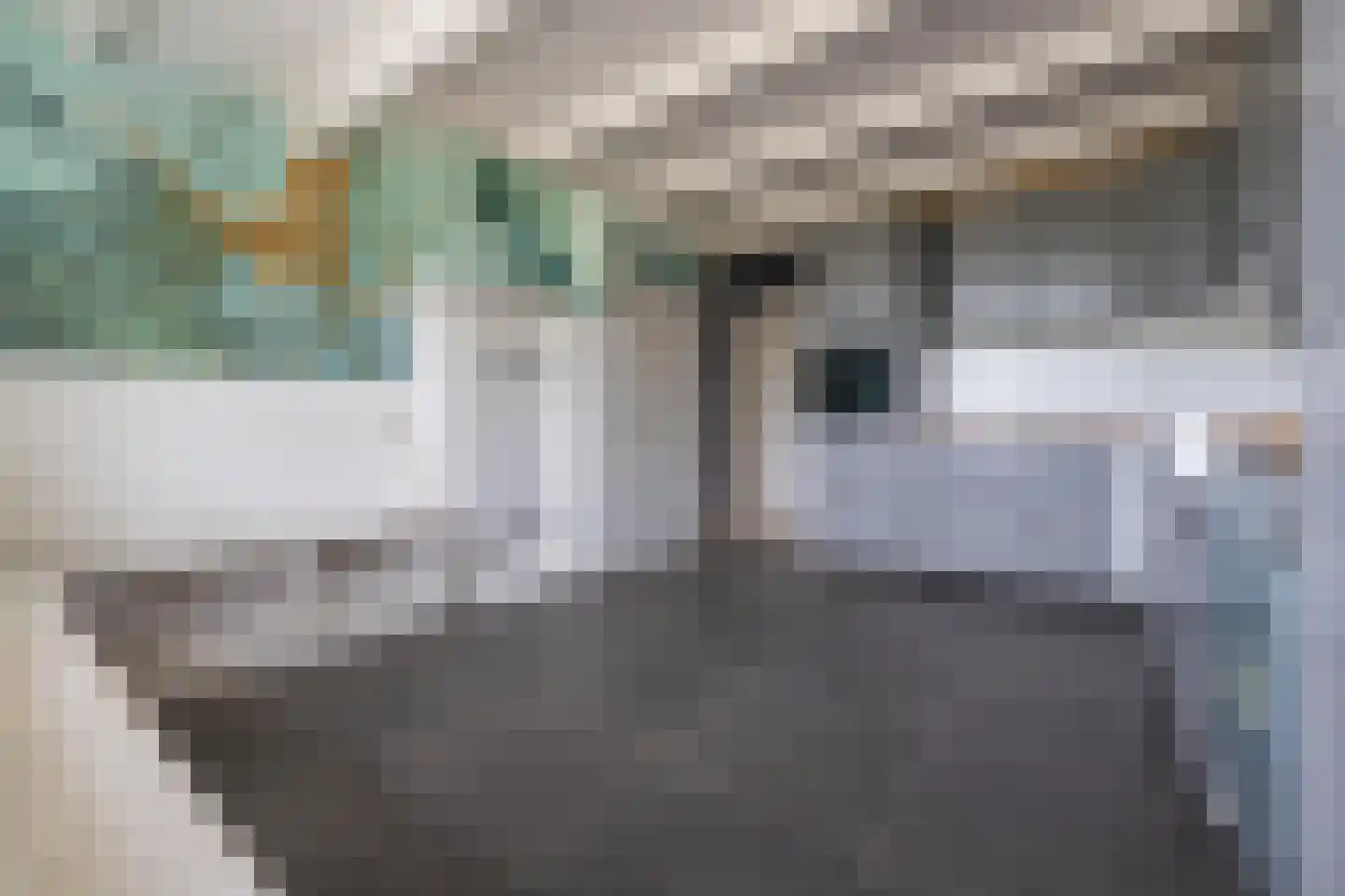 Woerd 43 Kerk-Avezaath thumbnail 44