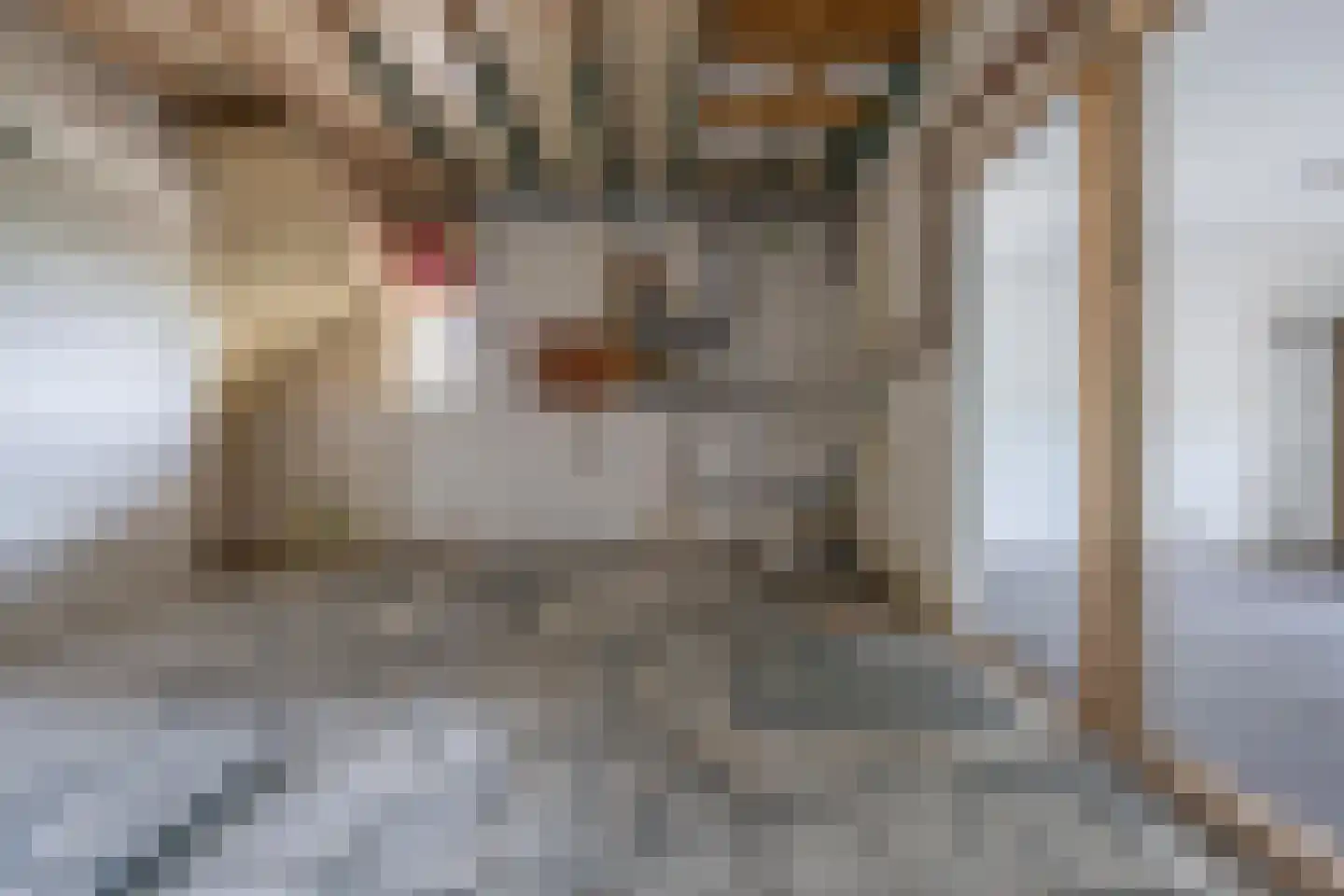 Woerd 43 Kerk-Avezaath thumbnail 48