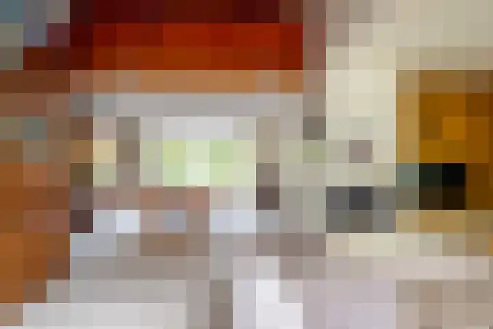 Woerdakkers 4 Gieten thumbnail 12