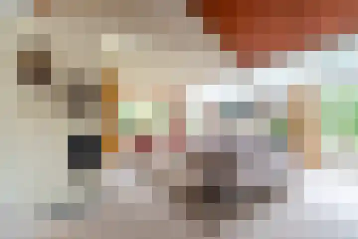 Woerdakkers 4 Gieten thumbnail 13
