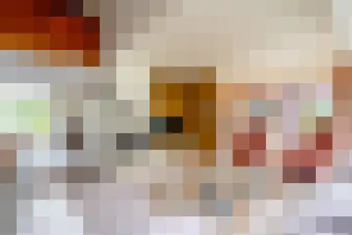 Woerdakkers 4 Gieten thumbnail 14